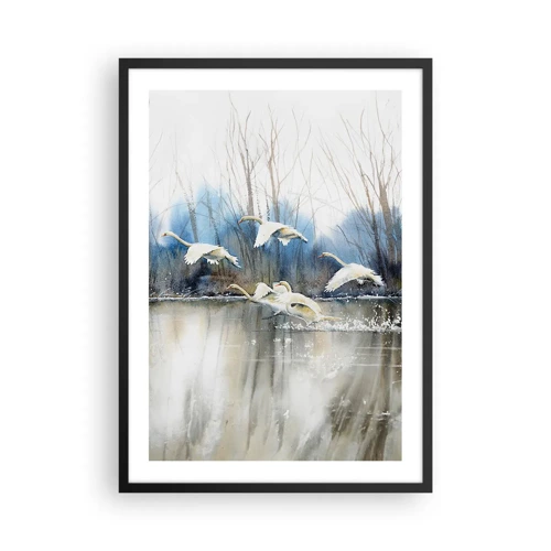 Poster in black frame - Like in a Fairy Tale about Wild Swans - 50x70 cm