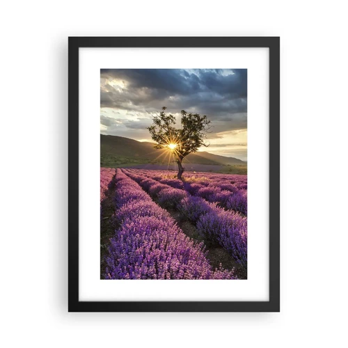 Poster in black frame - Lilac Coloured Aroma - 30x40 cm