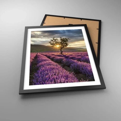 Poster in black frame - Lilac Coloured Aroma - 40x50 cm