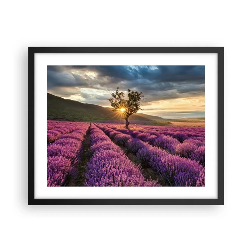 Poster in black frame - Lilac Coloured Aroma - 50x40 cm
