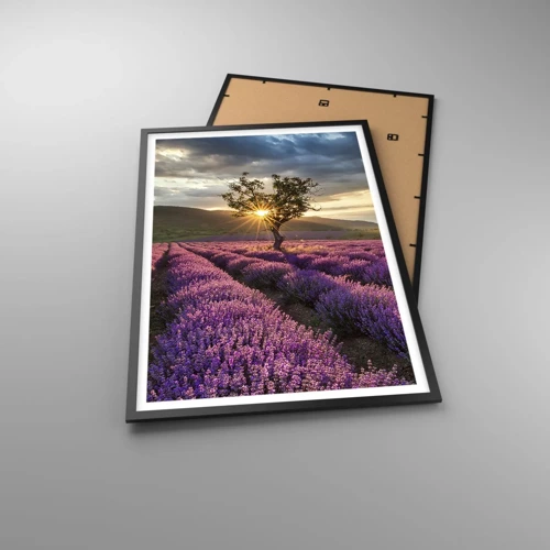 Poster in black frame - Lilac Coloured Aroma - 61x91 cm