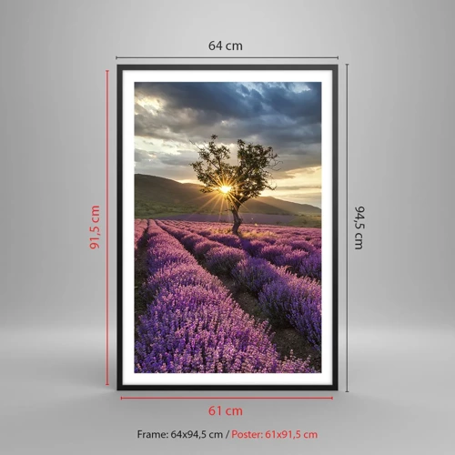 Poster in black frame - Lilac Coloured Aroma - 61x91 cm