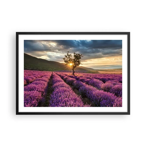 Poster in black frame - Lilac Coloured Aroma - 70x50 cm
