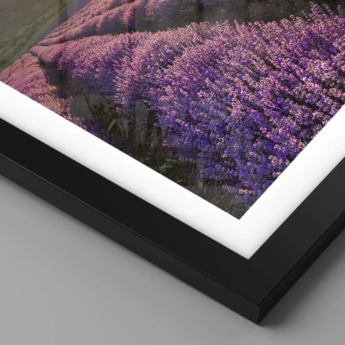 Poster in black frame - Lilac Coloured Aroma - 91x61 cm