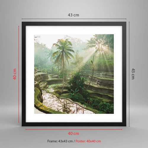 Poster in black frame - Maturing in the Sun - 40x40 cm