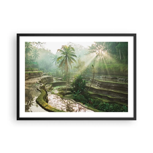 Poster in black frame - Maturing in the Sun - 70x50 cm