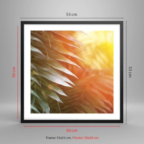 Poster in black frame - Morning in the Jungle - 50x50 cm