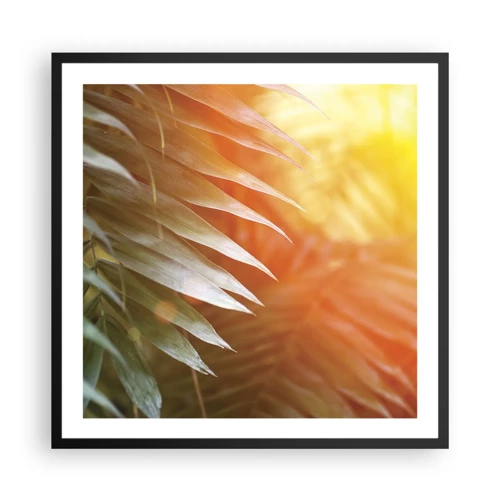 Poster in black frame - Morning in the Jungle - 60x60 cm