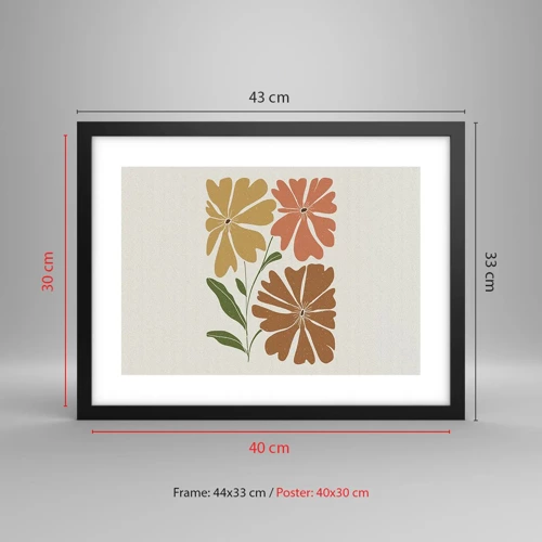 Poster in black frame - Nature and Geometry - 40x30 cm