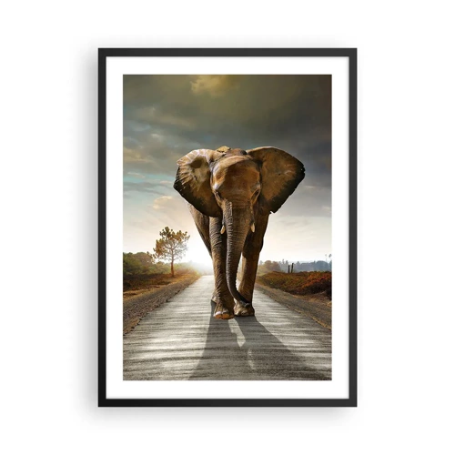 Poster in black frame - Not in a China Shop - 50x70 cm