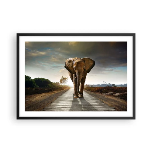 Poster in black frame - Not in a China Shop - 70x50 cm