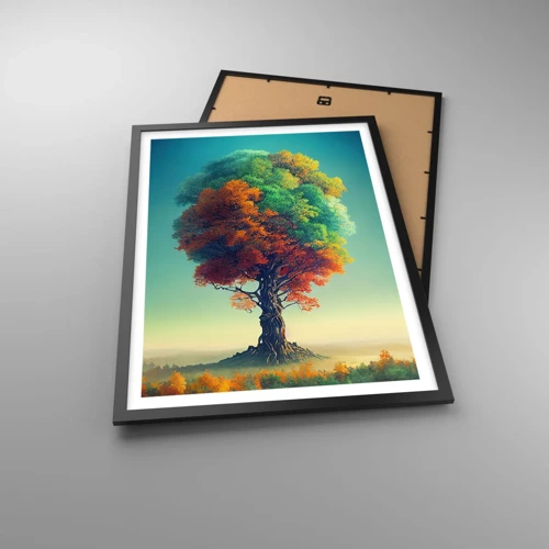 Poster in black frame - Oak - Father of Nature - 50x70 cm