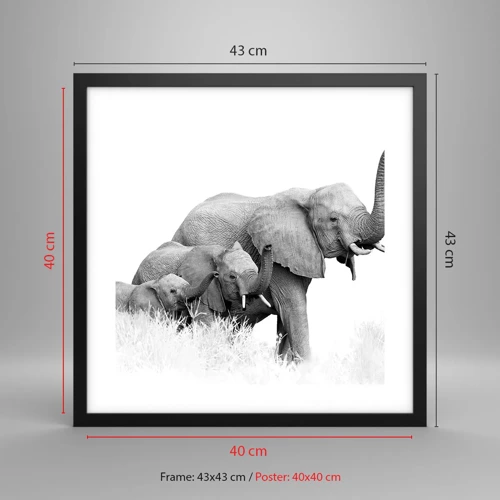 Poster in black frame - One, Two, Three - 40x40 cm