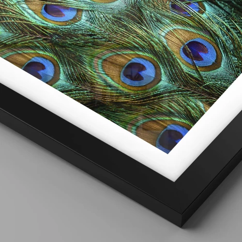 Poster in black frame - Peacock Eyes - 30x30 cm