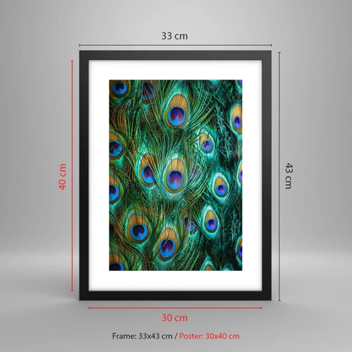 Poster in black frame - Peacock Eyes - 30x40 cm