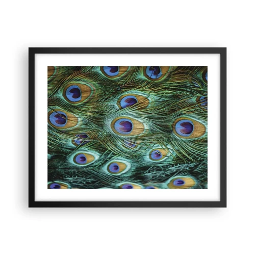 Poster in black frame - Peacock Eyes - 50x40 cm