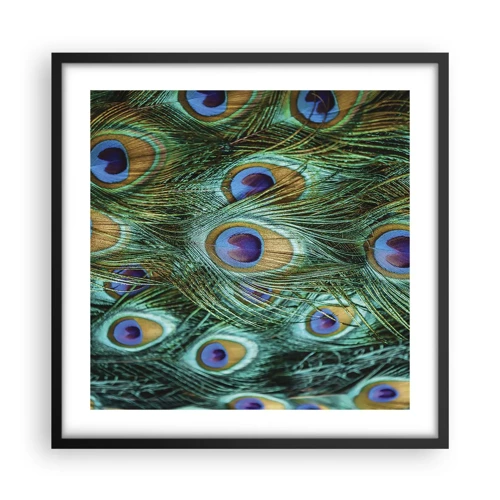 Poster in black frame - Peacock Eyes - 50x50 cm