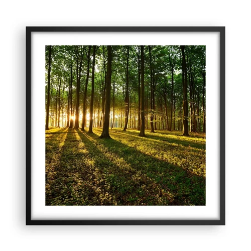 Poster in black frame - Photography of All Springs - 50x50 cm