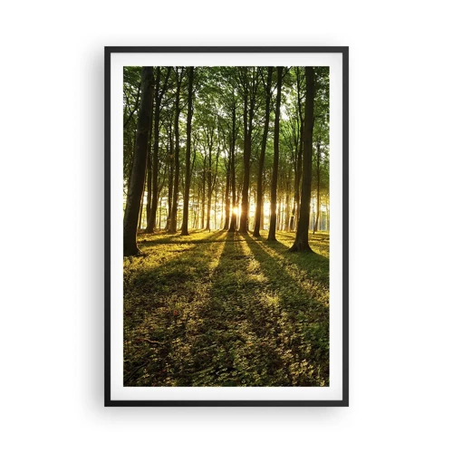 Poster in black frame - Photography of All Springs - 61x91 cm