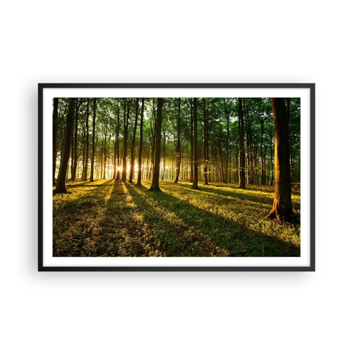 Poster in black frame - Photography of All Springs - 91x61 cm