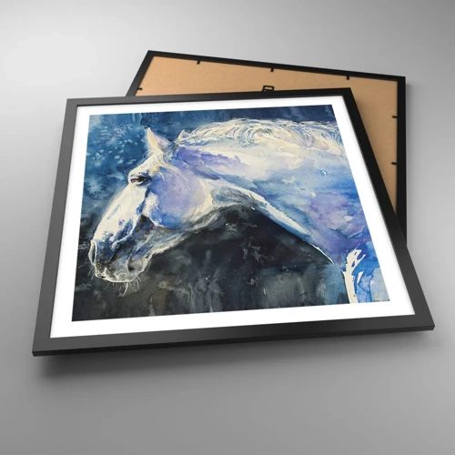 Poster in black frame - Portrait in Blue Light - 50x50 cm