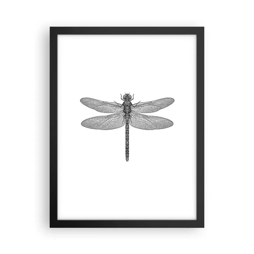 Poster in black frame - Precision of Nature - 30x40 cm