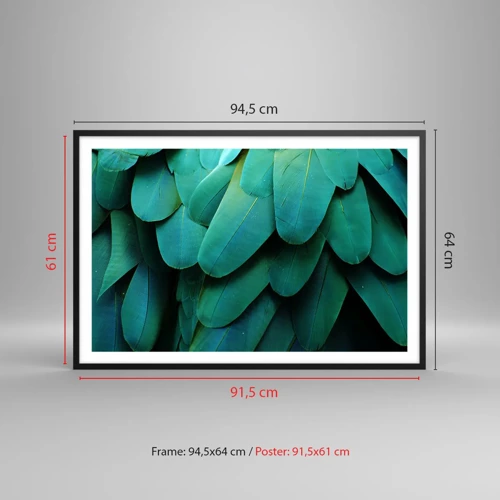 Poster in black frame - Precision of Parrot Nature - 91x61 cm