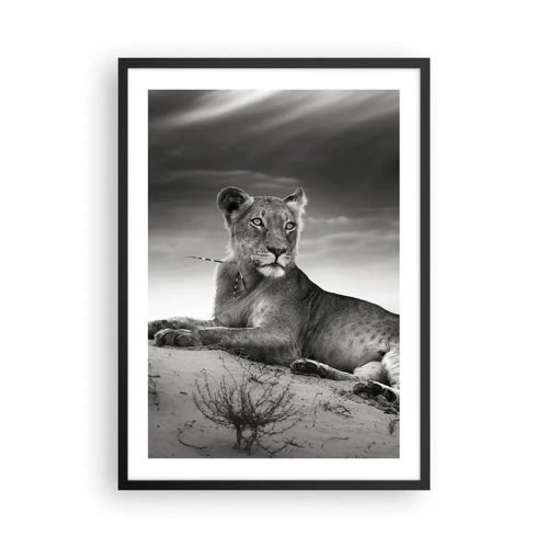 Poster in black frame - Queen of Desert Is Resting - 50x70 cm