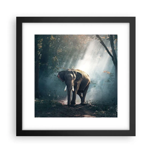 Poster in black frame - Quiet Stroll - 30x30 cm