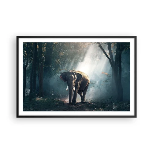 Poster in black frame - Quiet Stroll - 91x61 cm