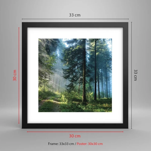 Poster in black frame - Radiant at Dawn - 30x30 cm