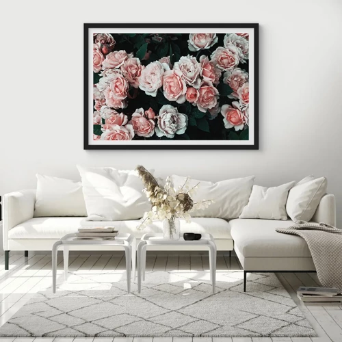 Poster in black frame - Rose Ensemble - 100x70 cm