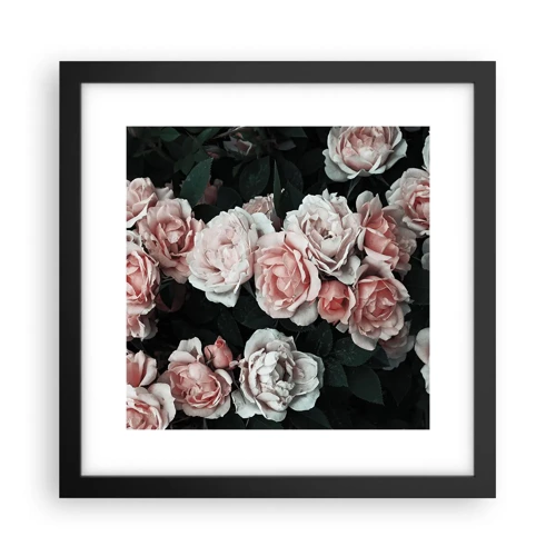 Poster in black frame - Rose Ensemble - 30x30 cm