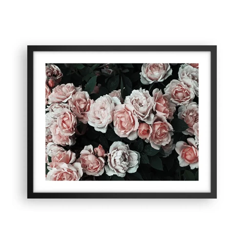 Poster in black frame - Rose Ensemble - 50x40 cm