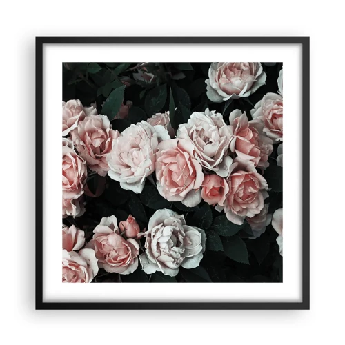 Poster in black frame - Rose Ensemble - 50x50 cm