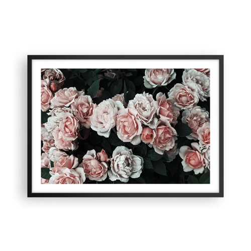 Poster in black frame - Rose Ensemble - 70x50 cm