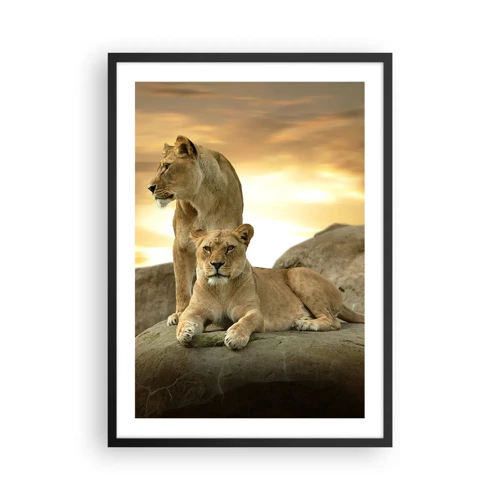 Poster in black frame - Royal Majesty - 50x70 cm