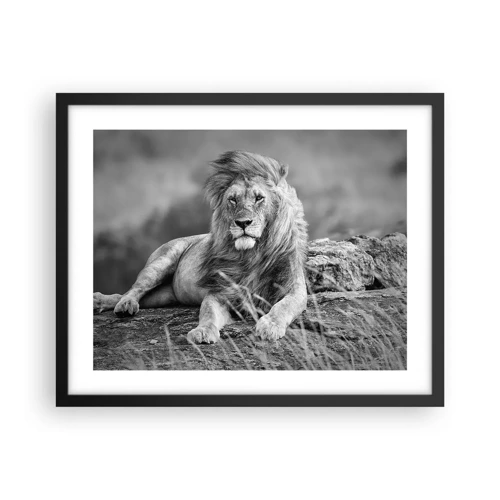 Poster in black frame - Royal Siesta - 50x40 cm