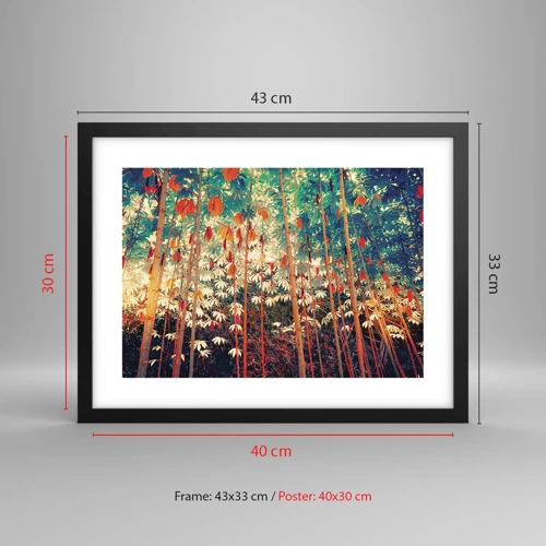 Poster in black frame - Secret Life of Leaves - 40x30 cm