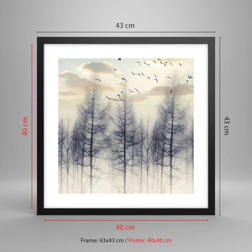 Poster in black frame - Spirits of the Forest - 40x40 cm