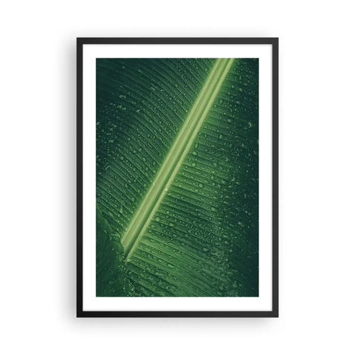 Poster in black frame - Structure of Green - 50x70 cm