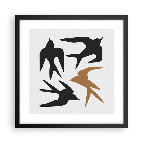 Poster in black frame - Swallows at Play - 40x40 cm