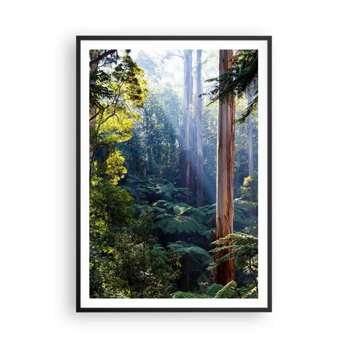Poster in black frame - Tale of a Forest - 70x100 cm