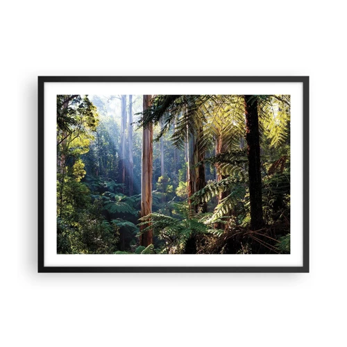 Poster in black frame - Tale of a Forest - 70x50 cm