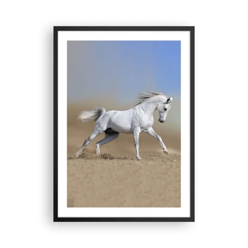 Poster in black frame - The Most Beautiful Arabic Tale - 50x70 cm