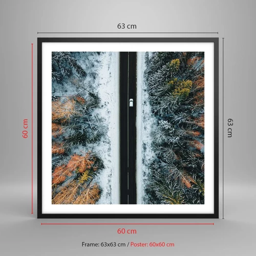 Poster in black frame - Through a Wintery Forest - 60x60 cm