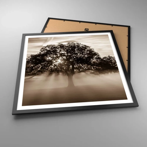 Poster in black frame - Tree of Good Knowledge - 60x60 cm