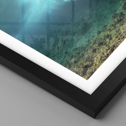 Poster in black frame - Undewater World - 30x40 cm