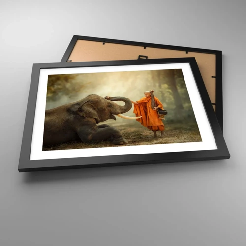 Poster in black frame - Unexpected Meeting - 40x30 cm
