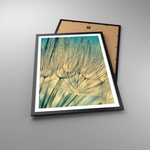 Poster in black frame - Waiting for the Wind - 50x70 cm